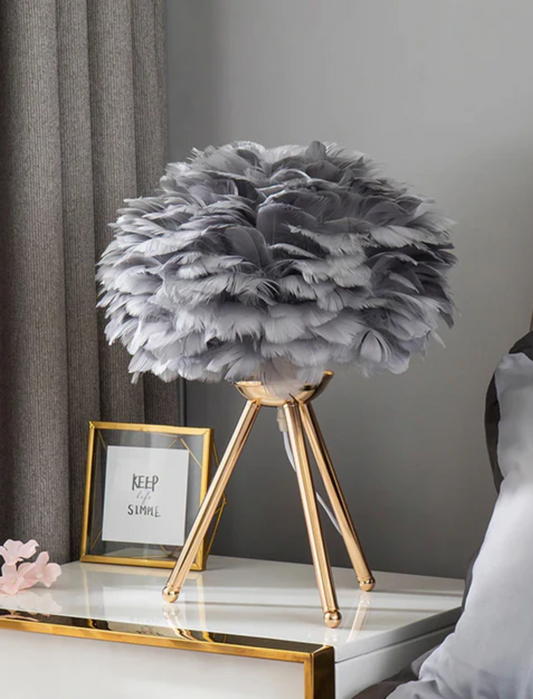 Dreamy Feather Lamp